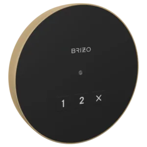 Brizo Luxe Gold Other Straps/Clamps