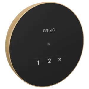 Brizo Polished Gold Other Straps/Clamps