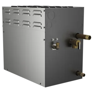 Brizo Other Steam Generator