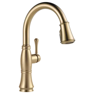 Delta Champagne Bronze Cassidy Pull-Down