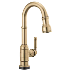 Delta Champagne Bronze Broderick Pull-Down Prep