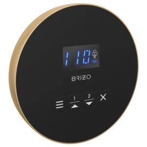 Brizo Polished Gold Other Straps/Clamps