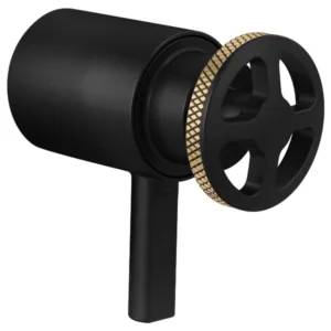 Brizo Matte Black/Luxe Gold Litze Handle Kit