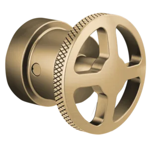 Brizo Luxe Gold Litze Handle Kit