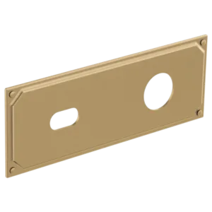 Brizo Luxe Gold Invari Cover Plate / Flange / Escutcheon