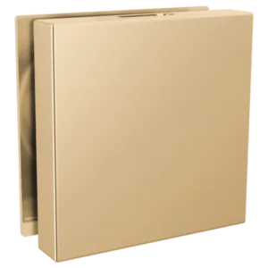 Brizo Polished Gold Other Steam Head