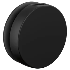 Brizo Matte Black Other Steam Head