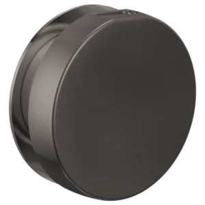 Brizo Brilliance Black Onyx Other Steam Head