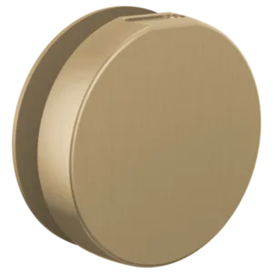 Brizo Luxe Gold Other Steam Head
