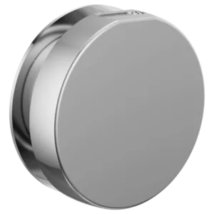 Brizo Polished Chrome Other Steam Head