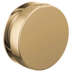 Brizo Polished Gold Other Steam Head