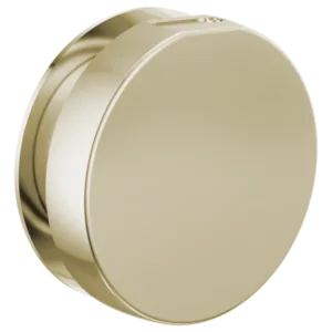 Brizo Polished Nickel Other Steam Head