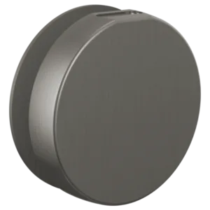 Brizo Luxe Steel Other Steam Head