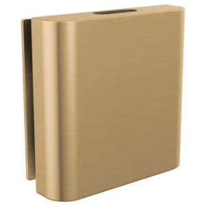 Brizo Luxe Gold Other Steam Head