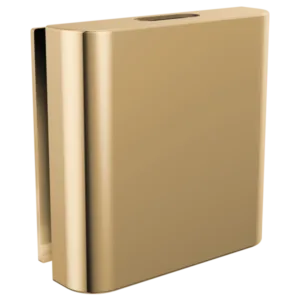 Brizo Polished Gold Other Steam Head