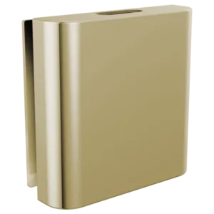 Brizo Polished Nickel Other Steam Head