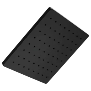 Delta Matte Black Modern Shower Head