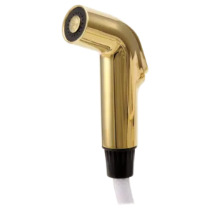Delta Polished Brass Other Side Spray