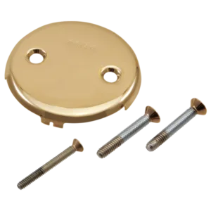 Brizo Polished Gold Other Drain