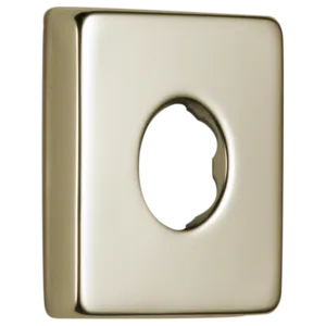 Delta Polished Nickel Other Trim