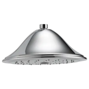 Brizo Polished Chrome Brizo Traditional Shower Head