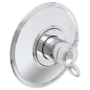 Delta Polished Chrome Other Trim