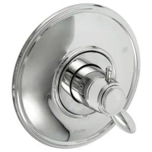 Delta Polished Chrome Other Trim