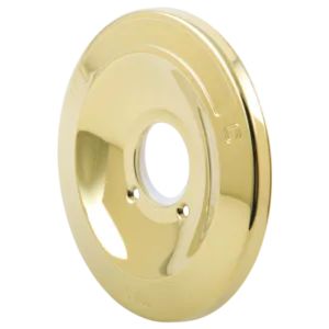 Delta Polished Brass Other Trim
