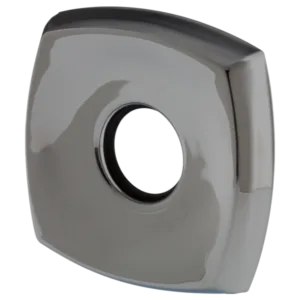 Delta Polished Chrome Other Trim