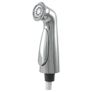 Delta Polished Chrome Cassidy® Side Spray