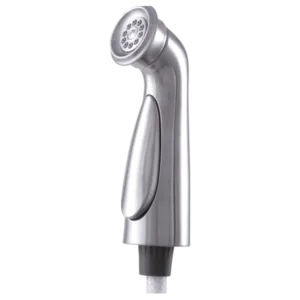 Delta Stainless Steel Cassidy® Side Spray