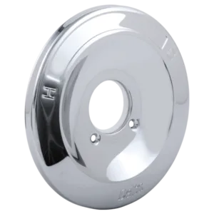 Delta Polished Chrome Other Trim