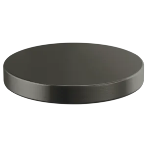 Brizo Luxe Steel Rook®