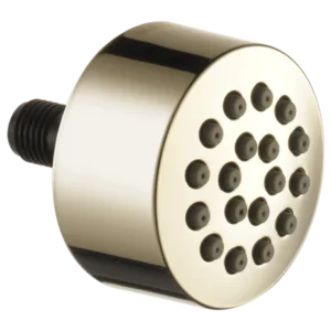 Delta Polished Nickel Other Body Spray / Body Jet