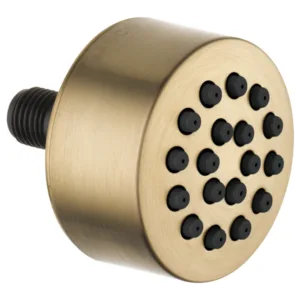 Brizo Luxe Gold Other Body Spray / Body Jet