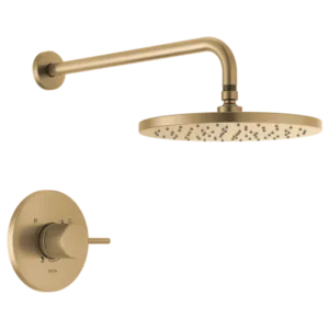 Delta Champagne Bronze Modern Shower Trim