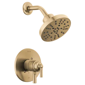 Delta Champagne Bronze Saylor Shower Trim