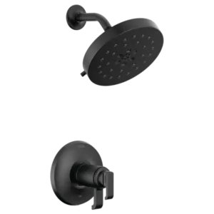 Delta Matte Black Tetraâ„¢ Shower Trim