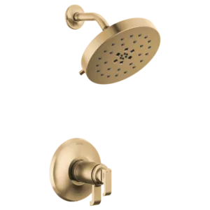 Delta Champagne Bronze Tetra Shower Trim