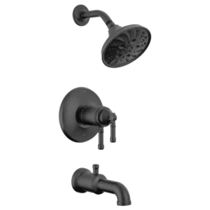 Delta Matte Black Broderick® Tub / Shower