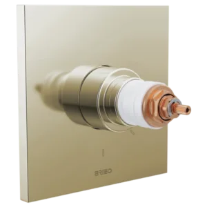 Brizo Polished Nickel Frank Lloyd Wright® Valve Trim