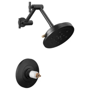 Brizo Matte Black/Luxe Gold Litze Shower Trim