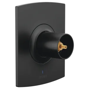 Brizo Matte Black Kintsu® Valve Trim