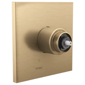 Brizo Luxe Gold Frank Lloyd Wright Valve Trim