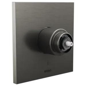 Brizo Luxe Steel Frank Lloyd Wright® Valve Trim