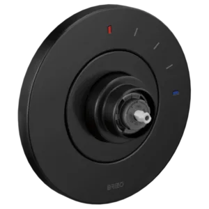 Brizo Matte Black Litze® Valve Trim