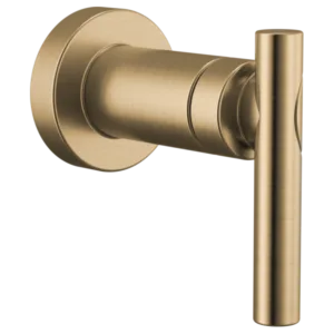 Brizo Luxe Gold Roccesco Tub / Shower