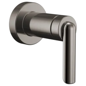 Brizo Brilliance Black Onyx Roccesco™ Tub / Shower