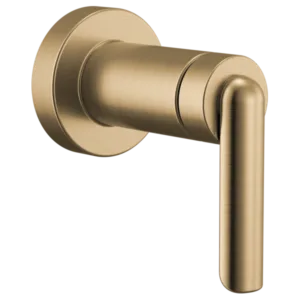 Brizo Luxe Gold Roccesco Tub / Shower