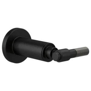 Brizo MATTE BLACK/LUXE STEEL Litze® Volume Control